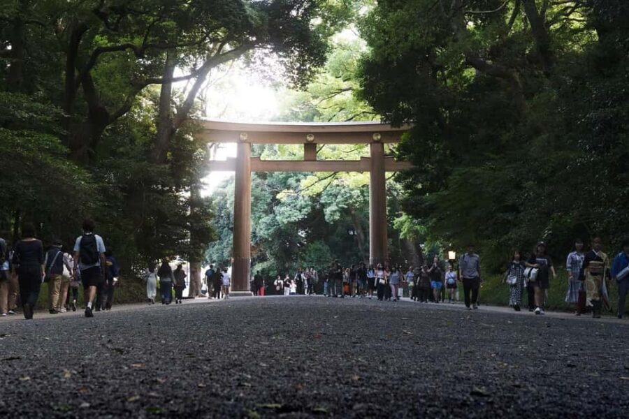 Tokyo: Private Meiji Shrine & Harajuku Highlights Tour - Takeshita Street (about 1 hour): where you’ll feel Tokyo’s youth culture