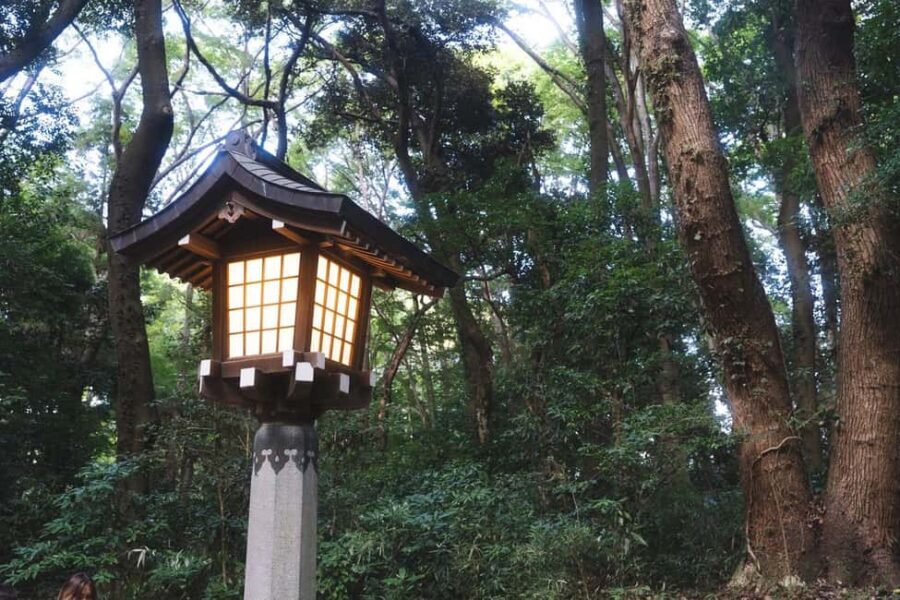 Tokyo: Private Meiji Shrine & Harajuku Highlights Tour - Tips to make the most of your 2 hours
