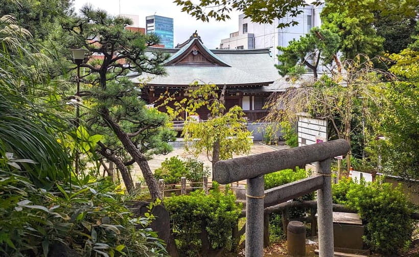 Tokyo: Private Morning Run with Sento Bath Experience - Yoyogi Park and Harajuku: The Running Portion That Gives You Structure