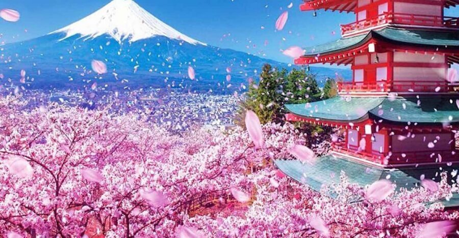 Tokyo: Private Mount Fuji and Hakone Day Trip with Guide - Kitaguchi-hongu Fuji Sengen Shrine: a quiet spiritual reset