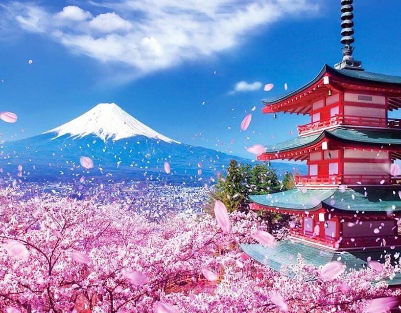 Tokyo: Private Mount Fuji and Hakone Day Trip with Guide - Mt. Kachi Kachi Ropeway: the view lift that saves time