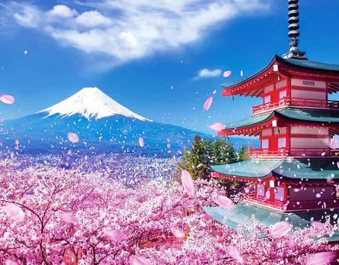 Tokyo: Private Mount Fuji and Hakone Day Trip with Guide - Where pickup and drop-off shape your whole day