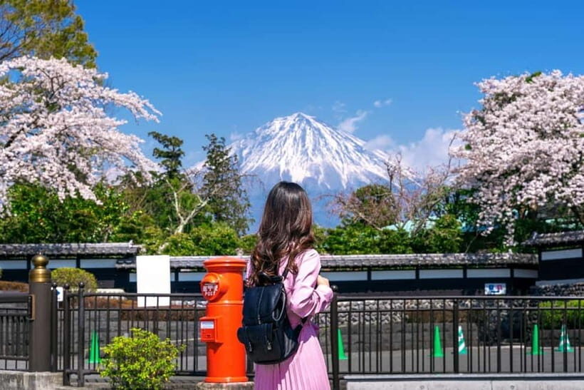 Tokyo: Private Mount Fuji Day Trip with Private Guide - Key highlights worth your attention