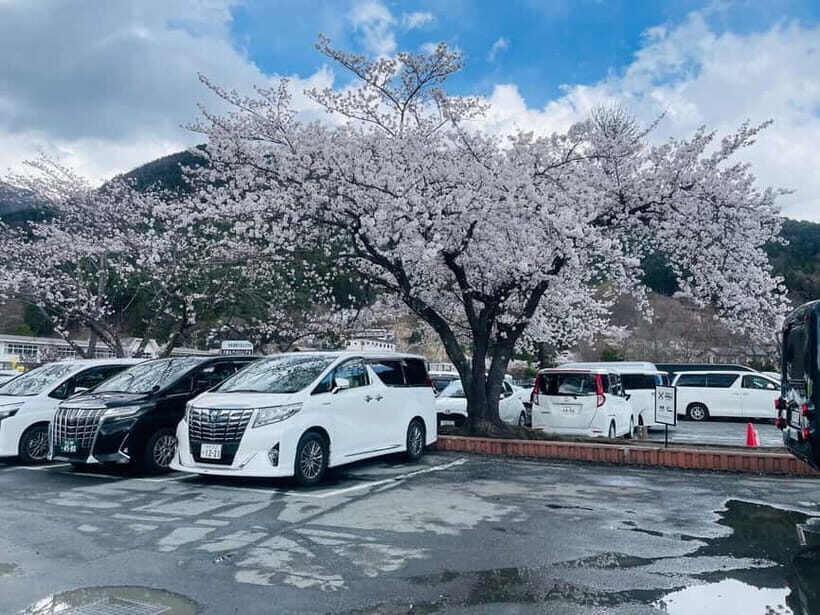 Tokyo: Private Mount Fuji Day Trip with Private Guide - Optional Add-Ons: Private Onsen, Sake, and How to Slot Them