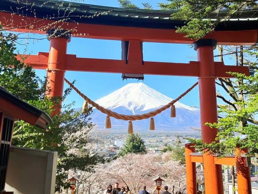Tokyo: Private Mount Fuji Tour with Pickup and Drop-Off - Private Mount Fuji day trip: why “up to 5” matters