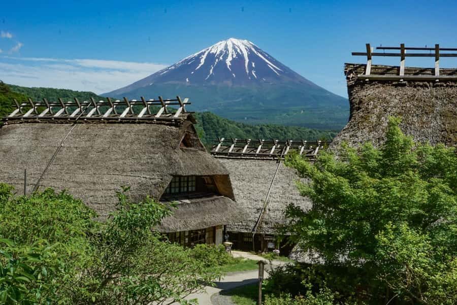 Tokyo: Private Mount Fuji Tour with Pickup and Drop-Off - Extras some guides can add: Arakurayama, Saiko Iyashi, and ice caves