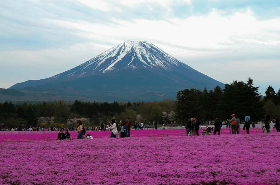 Tokyo: Private Mount Fuji Tour with Pickup and Drop-Off - Hotel pickup to Lake Kawaguchi: the first “Fuji mirror” moment