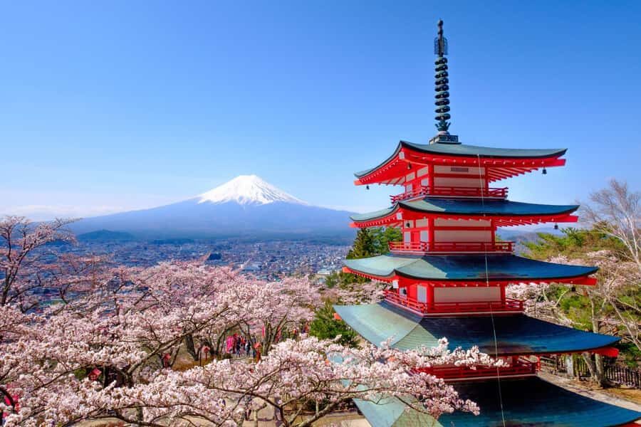 Tokyo: Private Mt.Fuji Day Trip with English-Speaking Driver - Key Things That Make This Fuji Day Trip Work