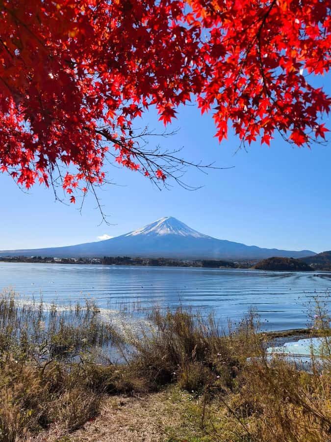 Tokyo: Private Mt.Fuji Day Trip with English-Speaking Driver - Chureito Pagoda + Fuji Sengen Shrine: Photos First, Then Peace