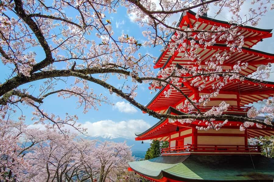 Tokyo: Private Mt.Fuji Day Trip with English-Speaking Driver - Price and Value for a Group of Up to 5