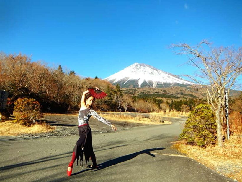 Tokyo: Private Mt. Fuji Luxury Day Tour – Fully Customizable - Key things to know before you go
