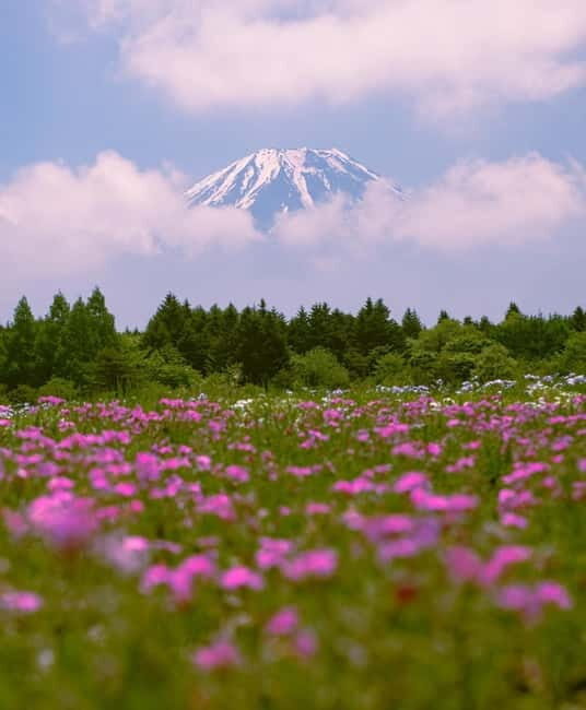 Tokyo: Private Mt. Fuji Luxury Day Tour – Fully Customizable - Why this private Mount Fuji day feels calmer than group buses