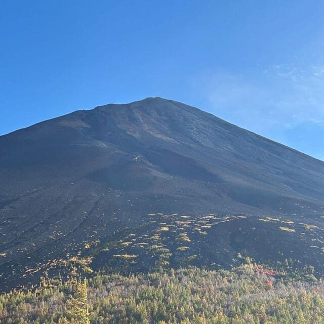 Tokyo: Private Mt. Fuji Luxury Day Tour – Fully Customizable - Book it or skip it: who this is perfect for