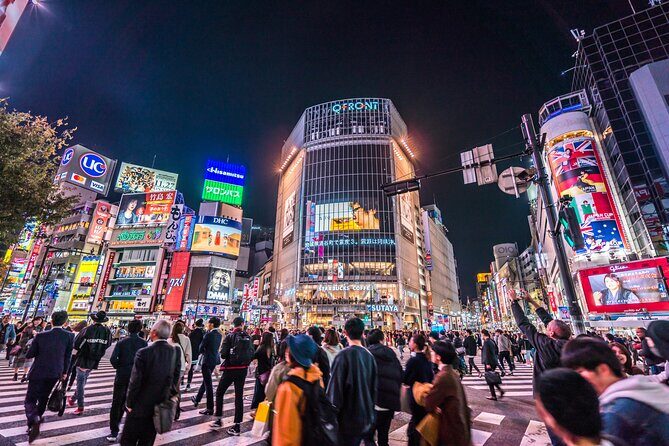 Tokyo Private Night Tour by Car/Van - English speaking chauffeur - Why the 3:00 pm start is such a smart choice