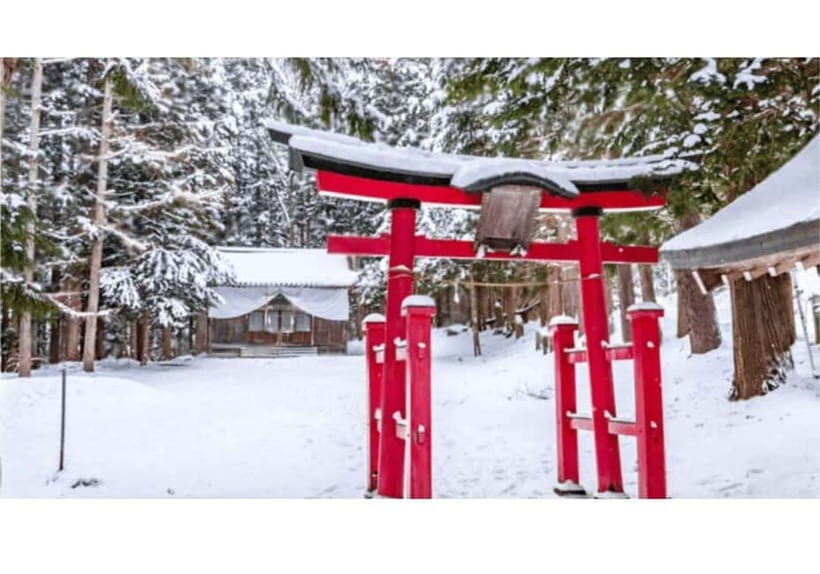Tokyo: Private Nikko Sightseeing Tour In Luxury Land Cruiser - Lunch, coffee breaks, and what to bring for a full day