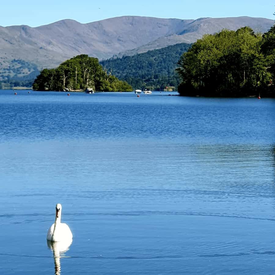 Tokyo: Private Nikko World Heritage Instagramable Day Tour - Lake Chūzenji: volcanic-lake views with a calm, planned hour