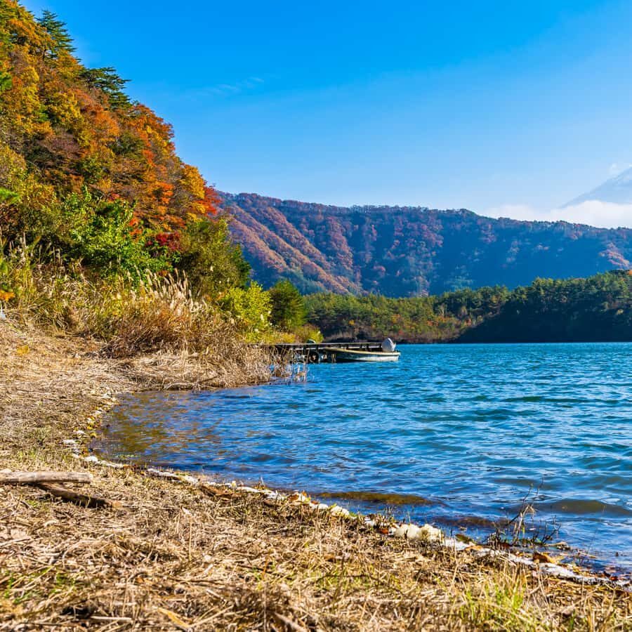 Tokyo: Private Nikko World Heritage Instagramable Day Tour - Optional timing: Nikko National Park and the Nikko Historic Museum