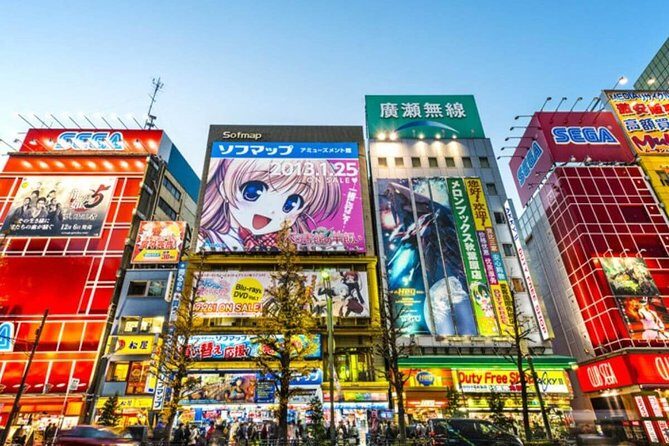Tokyo Private Off-Beat Tour Hidden Oddities & Icons with a Local - Key Things to Know Before You Go