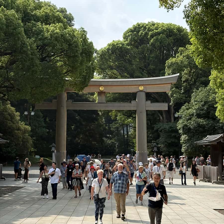 Tokyo: Private Shinto Shrines Tour by Car with Local Guide - Key Points to Know Before You Go