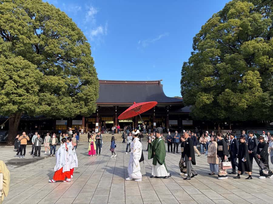Tokyo: Private Shinto Shrines Tour by Car with Local Guide - Why This Tokyo Shrine Route Works So Well in One Half-Day