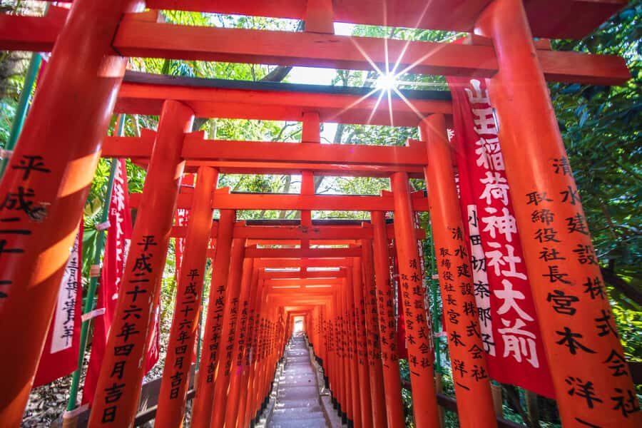 Tokyo: Private Shinto Shrines Tour by Car with Local Guide - Meiji Shrine: A Forest Pause Tucked Into Central Tokyo