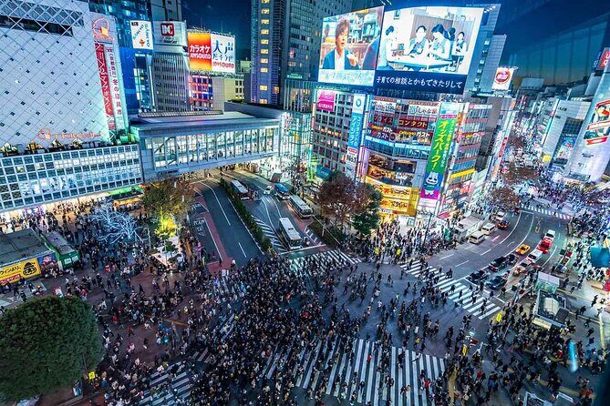 Tokyo Private SightSeeing Day Tour With Guide - Tokyo Skytree: your skyline payoff, with extra admission