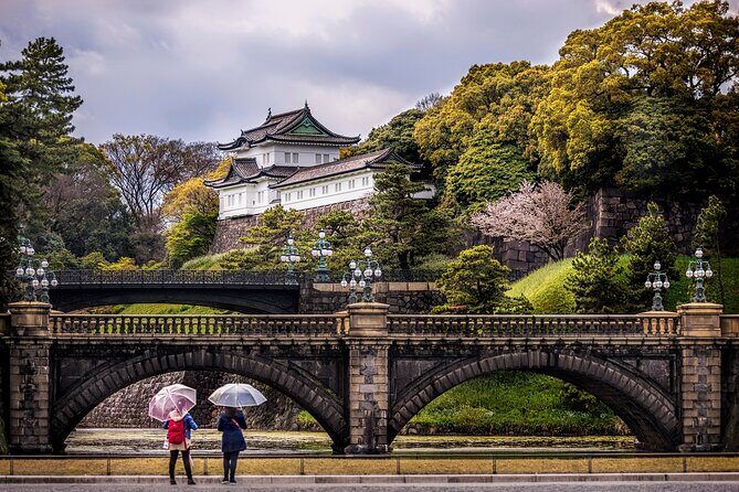 Tokyo Private SightSeeing Day Tour With Guide - Meiji Jingu Shrine: a shaded reset with Emperor-meets-nature symbolism