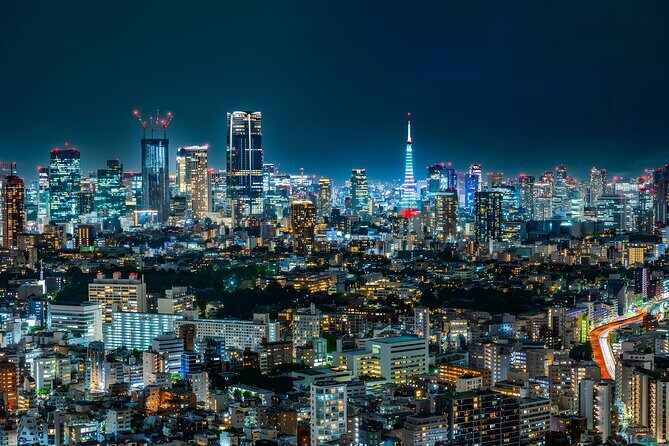 Tokyo Private Sightseeing Tour by Car and English Speaking Driver - The stop-by-stop day: what each place is like
