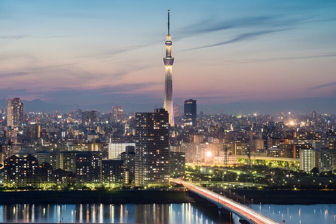 Tokyo Private Sightseeing Tour by Car and English Speaking Driver - What the English-speaking chauffeur really adds