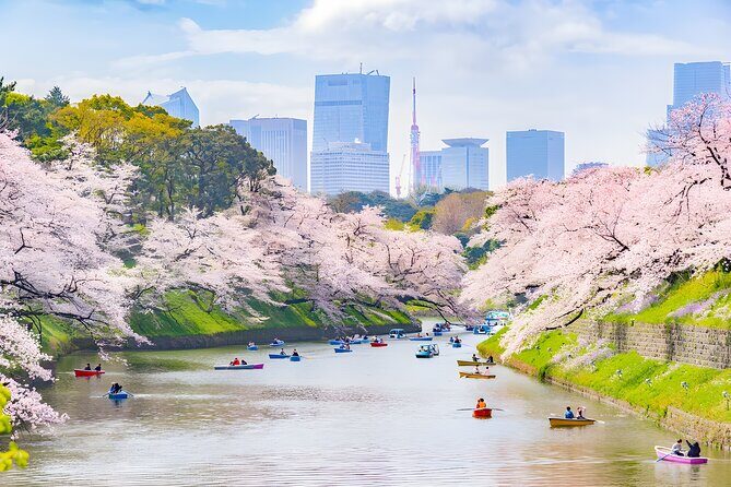 Tokyo Private Sightseeing Tour by Car and English Speaking Driver - Food strategy: making Tsukiji and the rest of the day easy