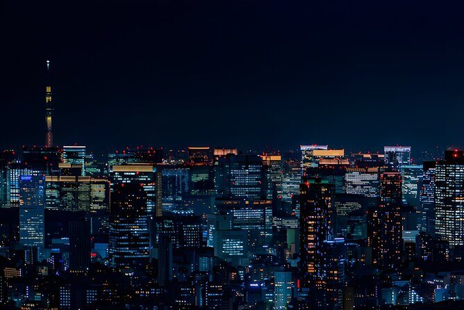 Tokyo Private Sightseeing Tour by Car and English Speaking Driver - Should you book this Tokyo private car tour?