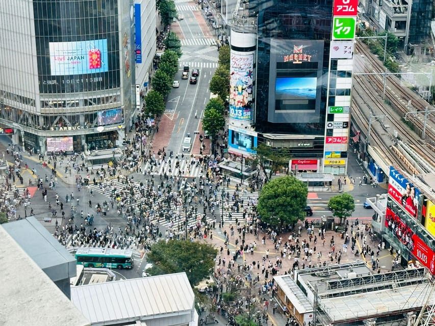 Tokyo: Private Tailored Tour with a Local Guide - Shibuya Crossing and Hachiko: the photo spot with real meaning