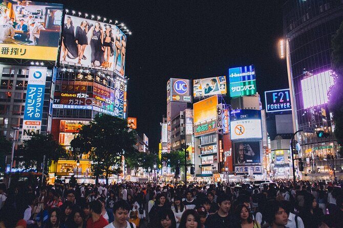 Tokyo Private Tour by Car/Van with English Speaking Driver - How the private car/van day actually works