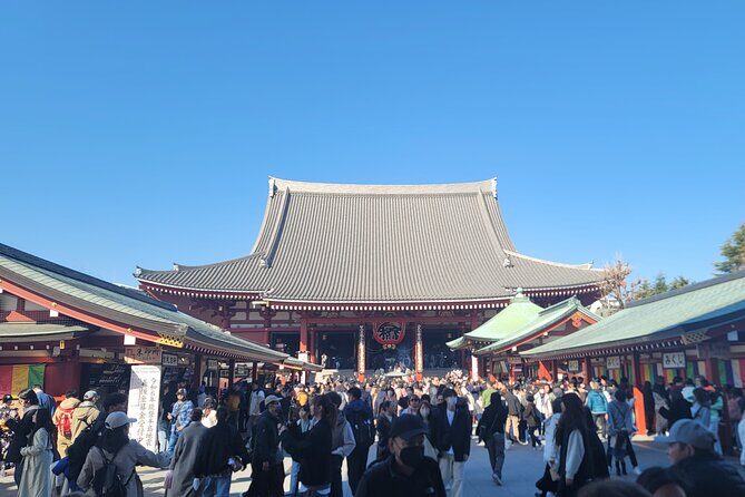 Tokyo Private Tour by Car with English speaking driver - Why a Private Car Tour Works So Well in Tokyo