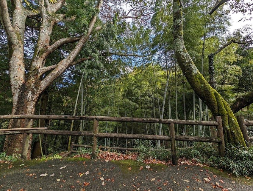 Tokyo private tour by car with pick up - Getting Value From the Price: $490 for Up to 6