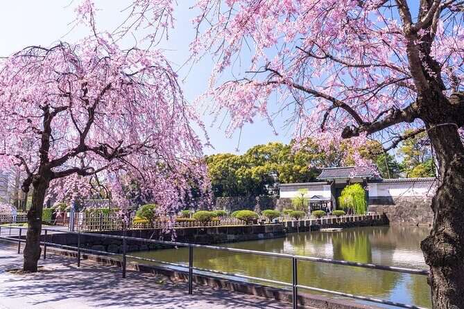 Tokyo Private Tour! Edo Castle & Imperial Palace East Gardens - Imperial Palace East Gardens With a Private Guide (Not a DIY Maze)