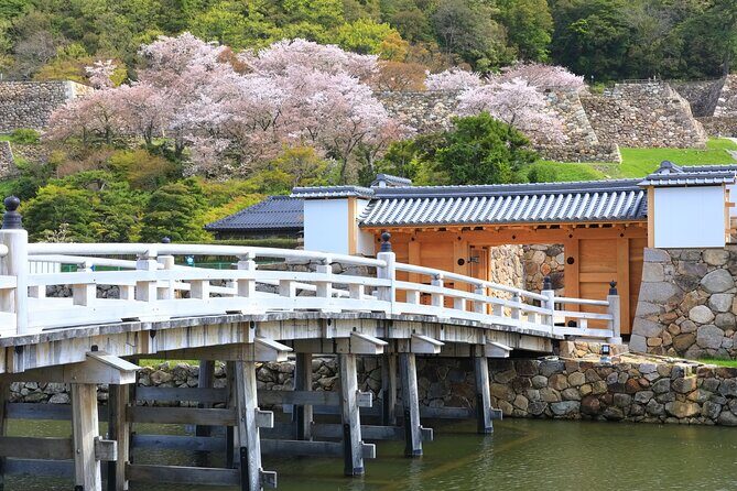 Tokyo Private Tour! Edo Castle & Imperial Palace East Gardens - What Makes the Guides Work Well (And Where You Should Stay Alert)
