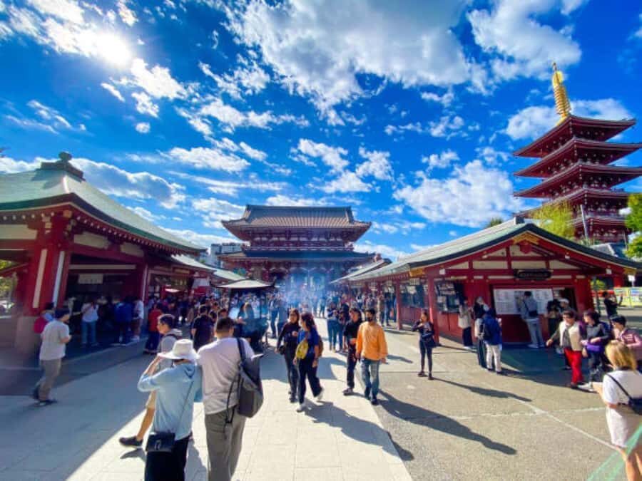Tokyo Private Tour English Pro Guide By Luxury Vehicle - Private Tokyo Day in a Luxury Vehicle: Why the Comfort Matters