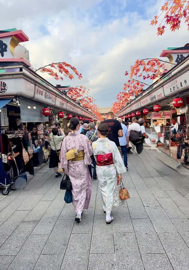 Tokyo Private Tour English Pro Guide By Luxury Vehicle - Asakusa, Senso-ji, and Nakamise Street: Old Tokyo at Human Scale