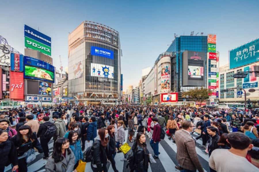 Tokyo Private Tour English Pro Guide By Luxury Vehicle - Imperial Palace Gardens (and a Practical Note on Guide Timing)