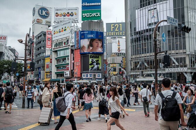 Tokyo Private Tour in Luxury Vehicle with English Guide - Key things I think you’ll notice right away