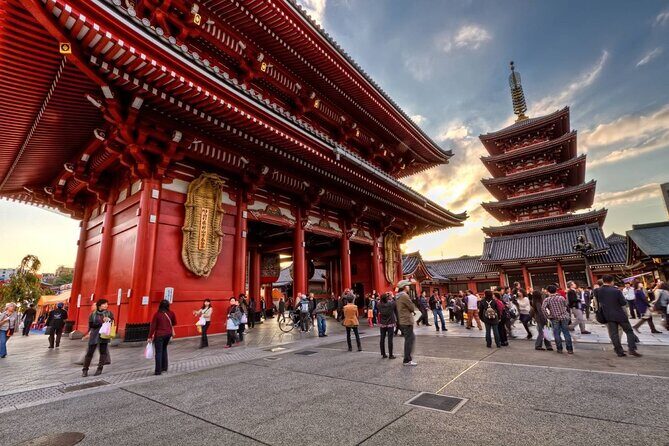 Tokyo Private Tour in Luxury Vehicle with English Guide - Tokyo Tower: classic “city view” energy in a different style