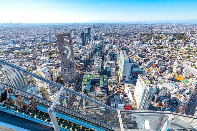 Tokyo Private Tour: One Day Highlights and Optional Shibuya Sky - Key things I’d focus on before you go