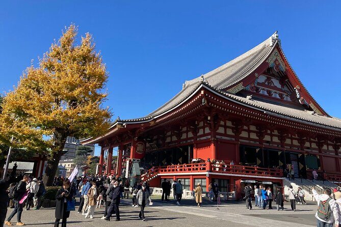 Tokyo Private Tour: One Day Highlights and Optional Shibuya Sky - Senso-ji Temple: big energy, clear context