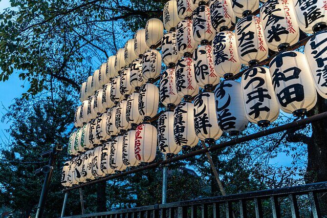 Tokyo Private Tour: Temples, Culture & Modern City Highlights - Optional pivot: Akihabara for otaku culture or Imperial East Gardens for calm history