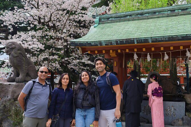 Tokyo Private Tour with Customized Itinerary - Akihabara: Electronics and Pop Culture on Foot