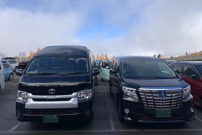 Tokyo Private Transfer from or to Narita Airport (NRT) - Booking the Right Van: Luggage, Flight Details, and the Stuff You Must Send