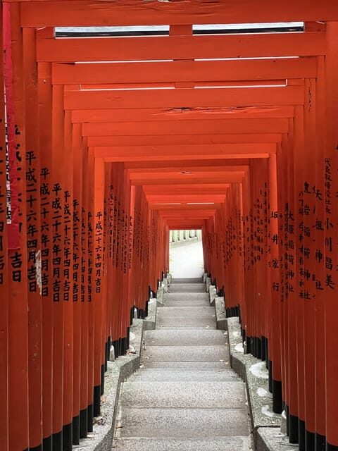 TOKYO Private visit guide Speaking French - Key Highlights You’ll Actually Feel