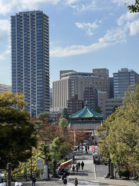 TOKYO Private visit guide Speaking French - A Certified French Guide Turns Tokyo Into Something You Can Use