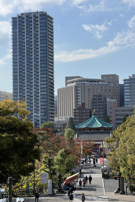TOKYO Private visit guide Speaking French - Value Check: When This Tour Makes Sense Most